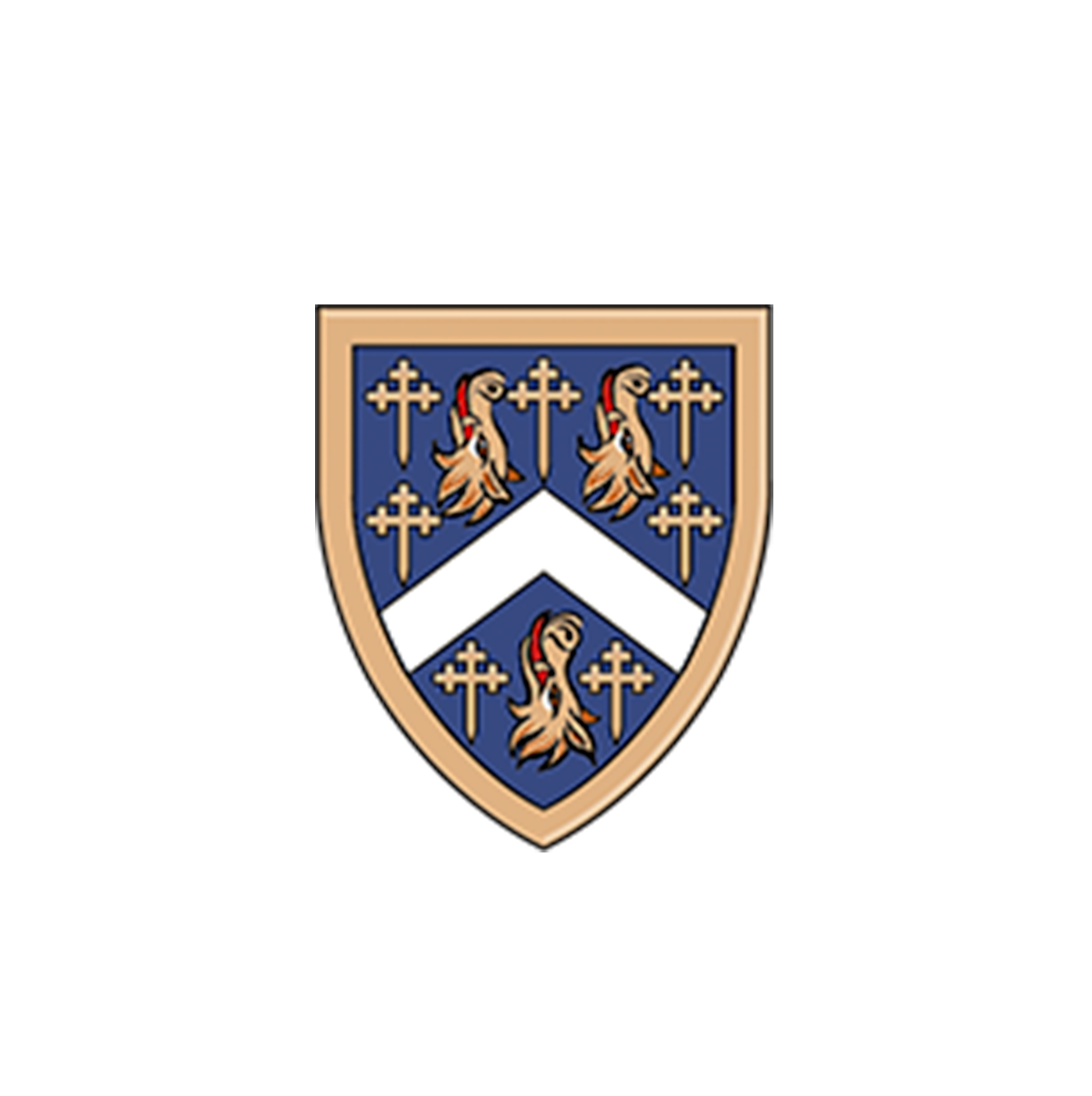 Reading Blue Coat School School Logo